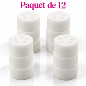 Éponge 5 trous paquet de 12