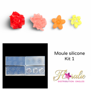 Moule en silicone #1